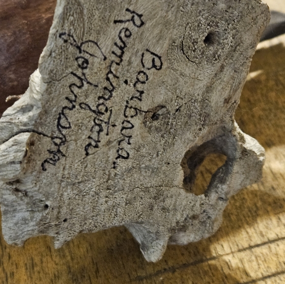 One of a kind wood carving by Barbara Remington Johnson - Picture 11 of 14